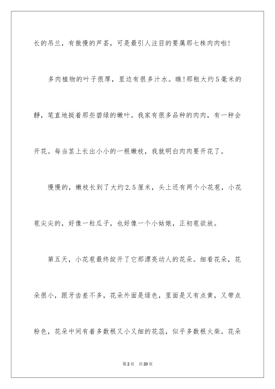 2024多肉植物作文_15_第2页