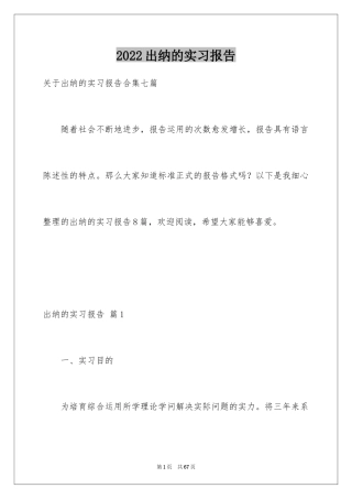 2024出纳的实习报告_22