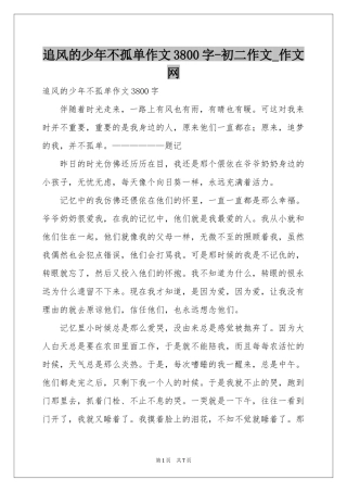 追风的少年不孤单作文3800字-初二作文_作文网