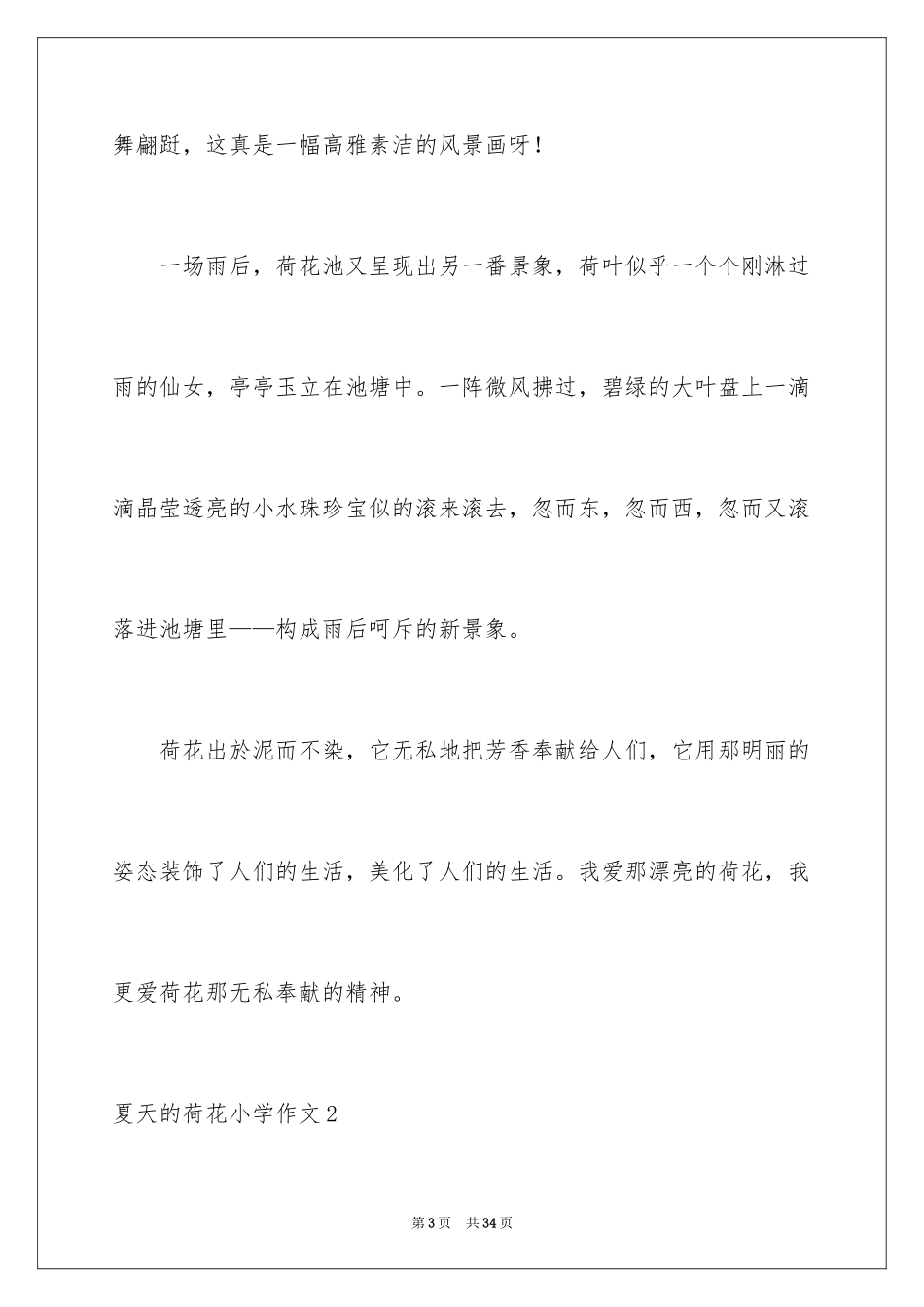 2024夏天的荷花小学作文_第3页