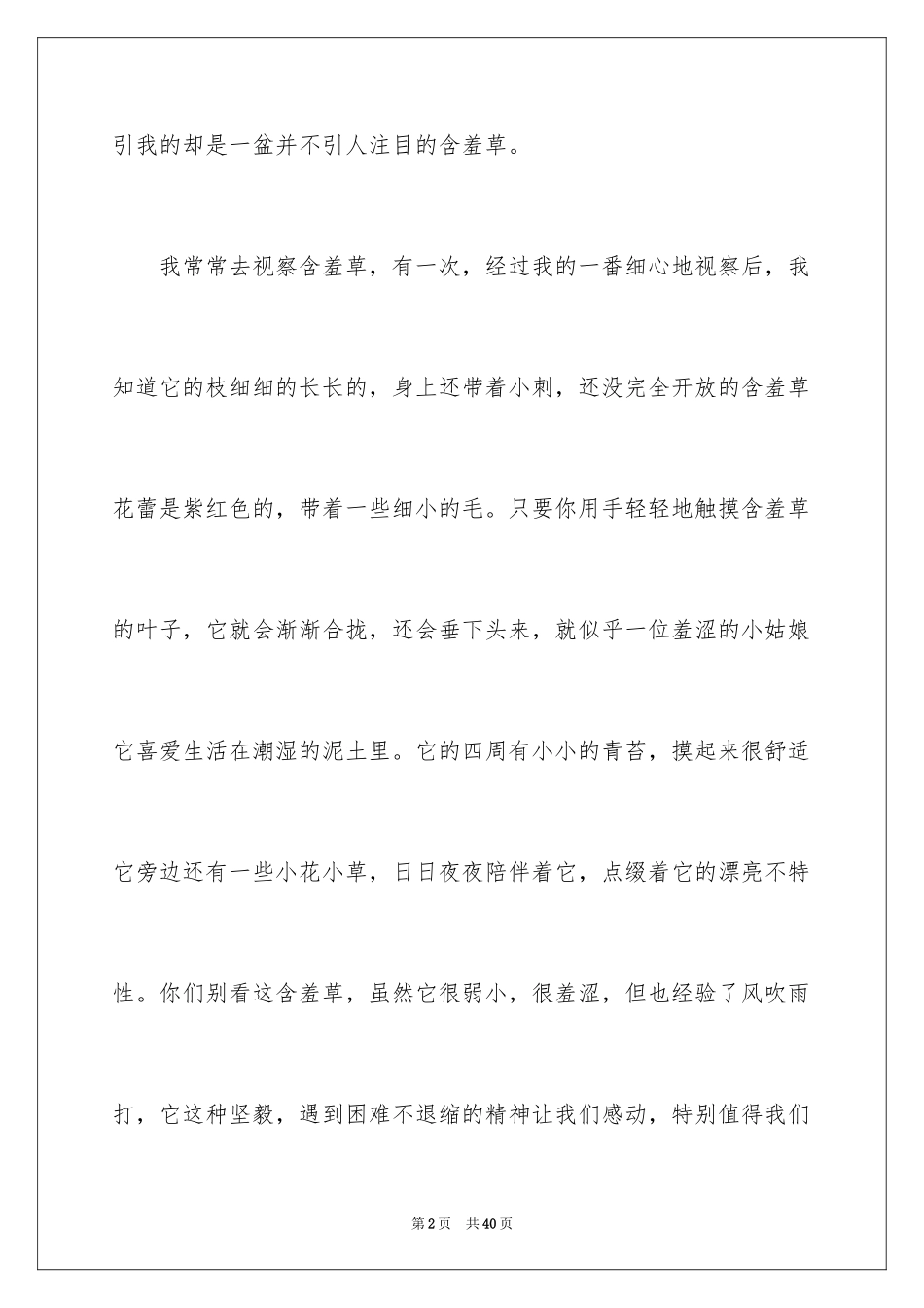 2024含羞草说明文_8_第2页