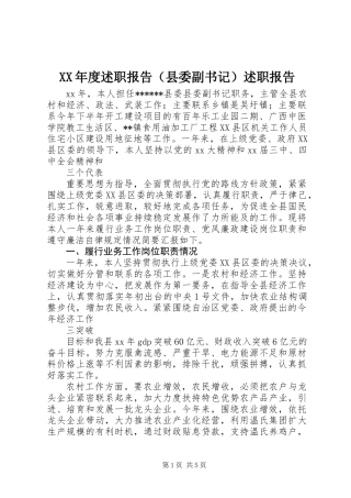 XX年度述职报告（县委副书记）述职报告