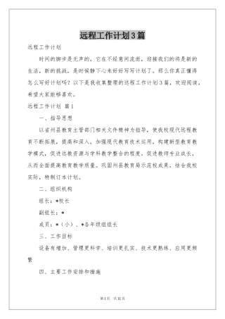 远程工作参考计划3篇
