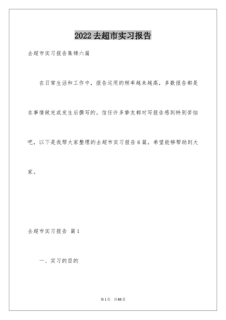 2024去超市实习报告_49