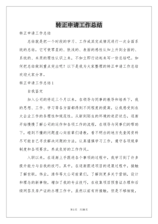 转正申请工作参考总结