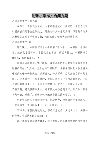足球小学作文合集九篇