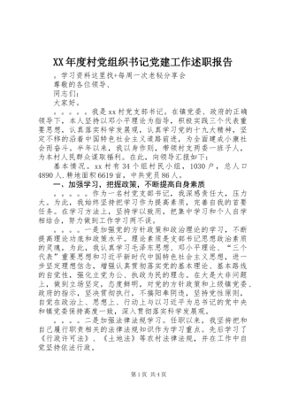 XX年度村党组织书记党建工作述职报告