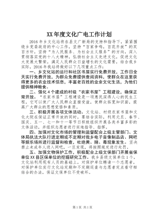 XX年度文化广电工作计划