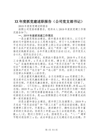 XX年度抓党建述职报告（公司党支部书记）