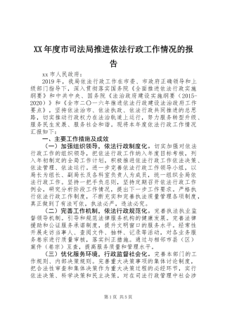 XX年度市司法局推进依法行政工作情况的报告