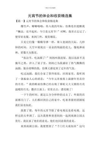 元宵节的体会和收获精选集