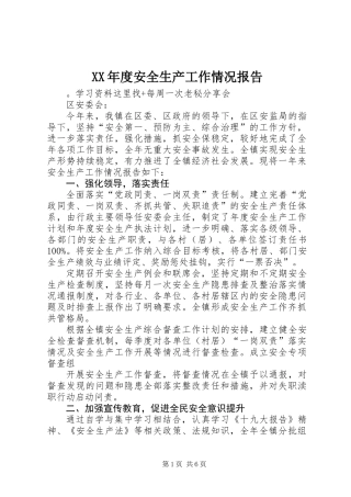 XX年度安全生产工作情况报告 (2)