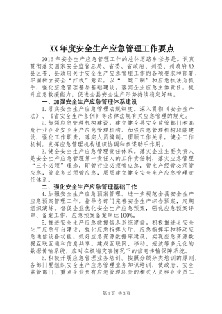XX年度安全生产应急管理工作要点