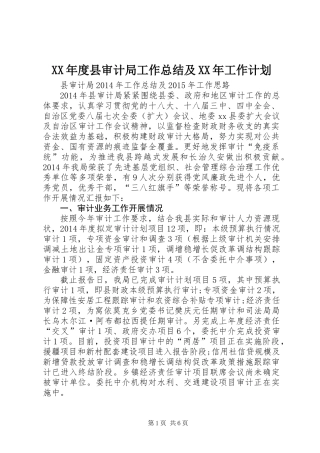 XX年度县审计局工作总结及XX年工作计划