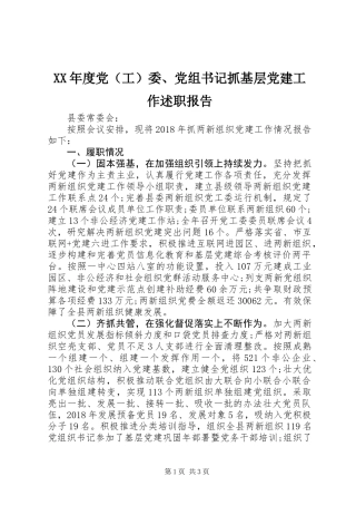XX年度党（工）委、党组书记抓基层党建工作述职报告
