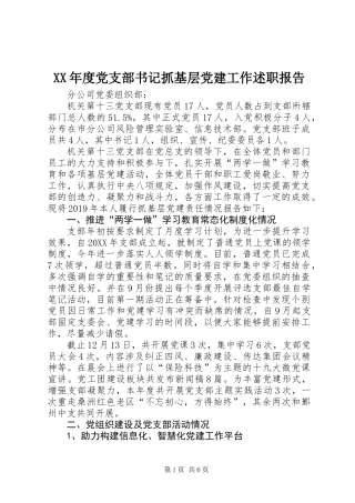 XX年度党支部书记抓基层党建工作述职报告 (2)