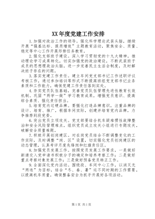 XX年度党建工作安排
