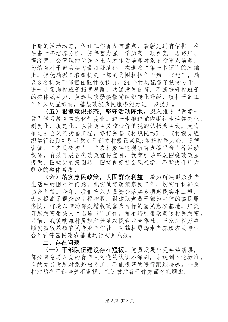 XX年度党建工作情况总结_第2页