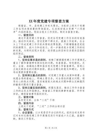 XX年度党建专项督查方案