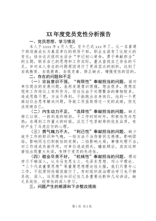 XX年度党员党性分析报告