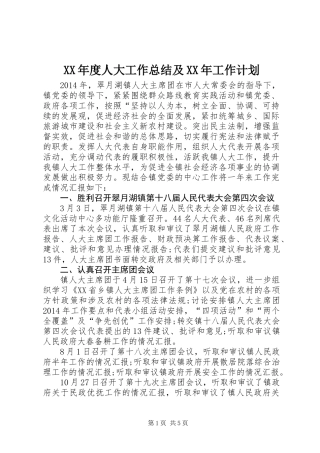 XX年度人大工作总结及XX年工作计划