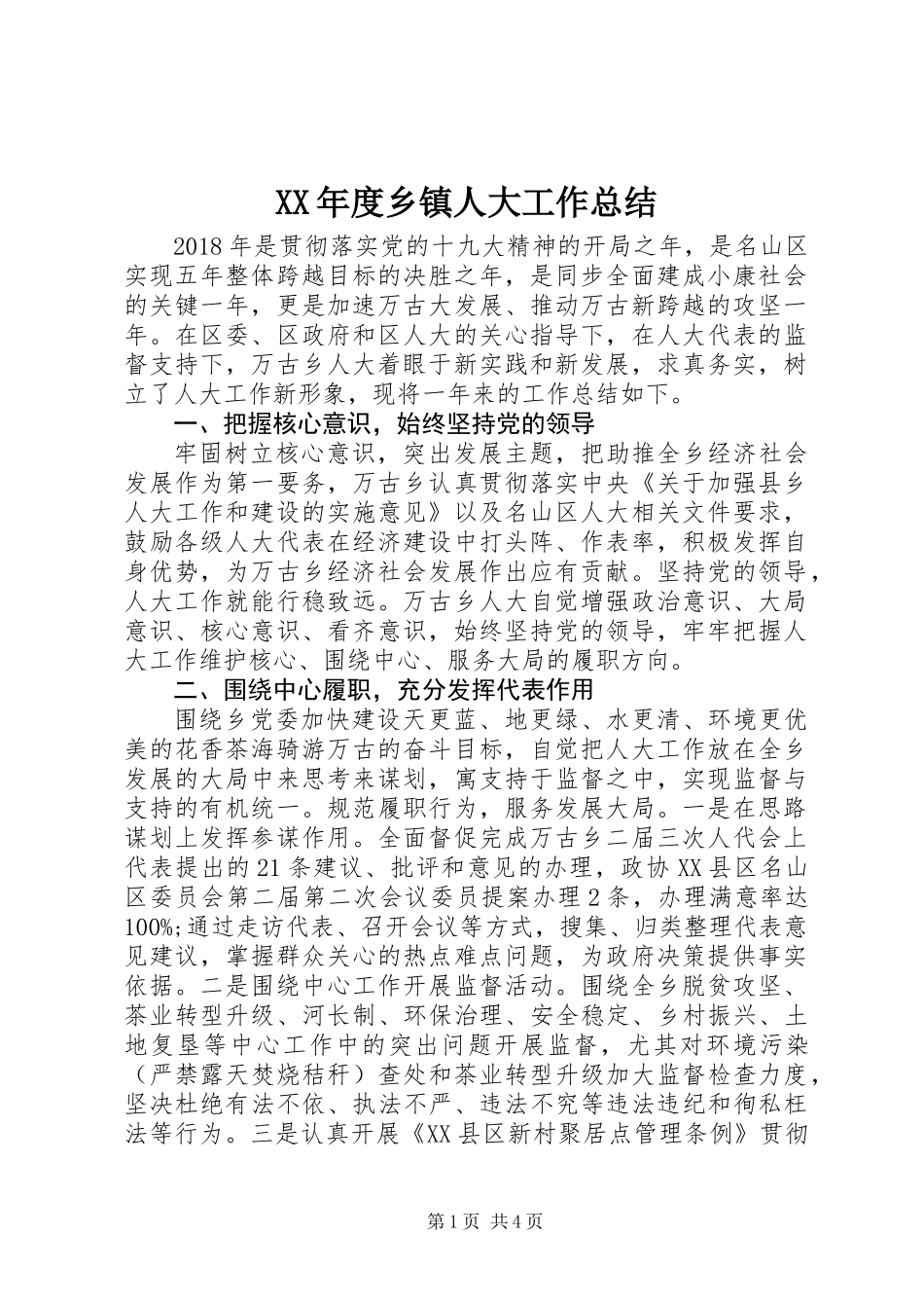 XX年度乡镇人大工作总结_第1页