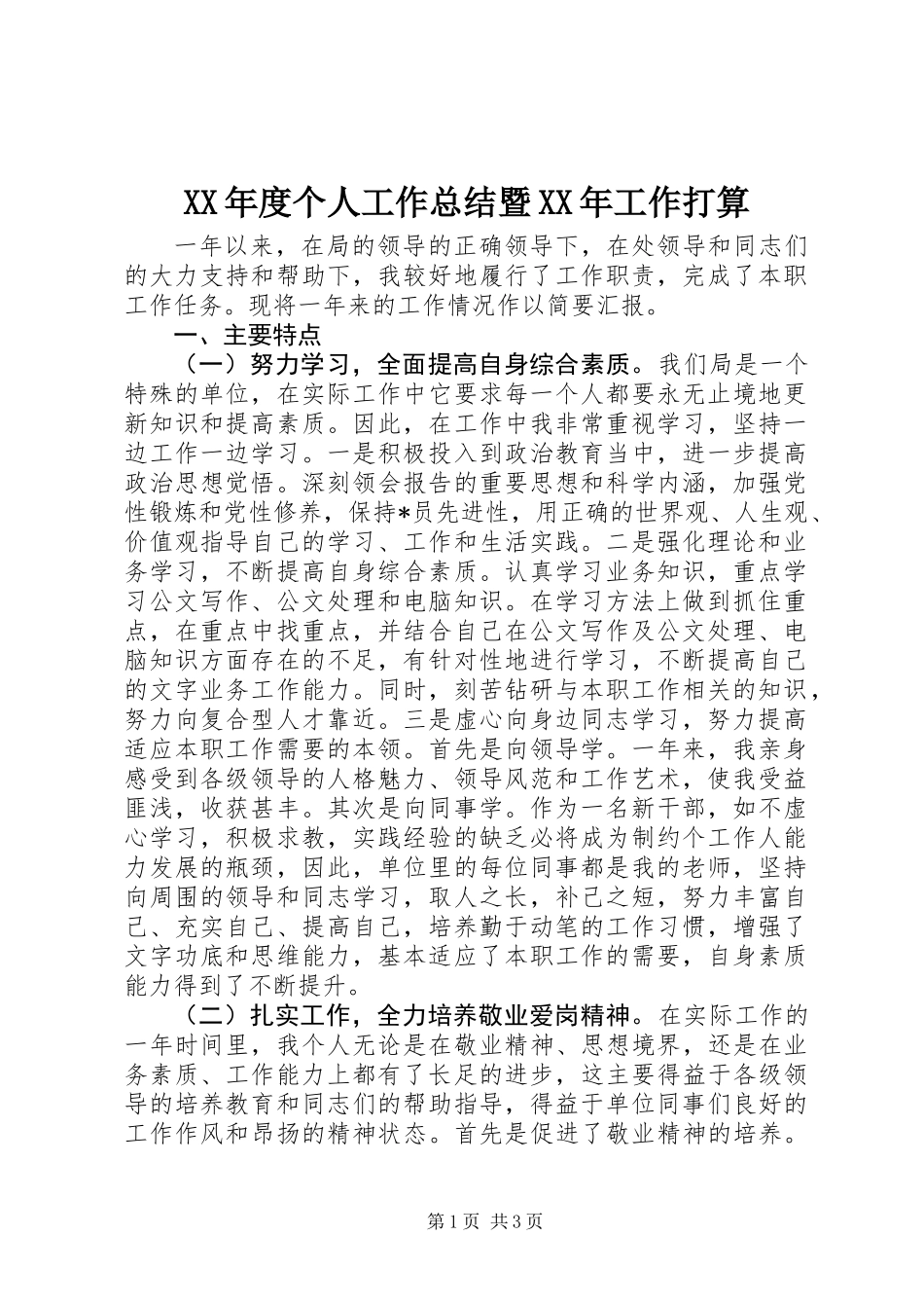 XX年度个人工作总结暨XX年工作打算_第1页