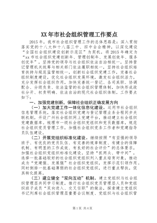 XX年市社会组织管理工作要点