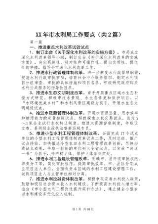 XX年市水利局工作要点(共2篇)
