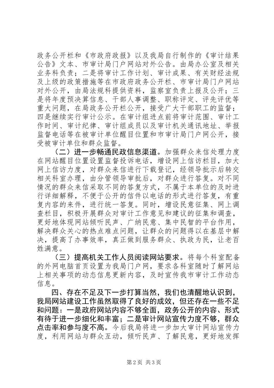 XX年市审计局网站建设工作总结_第2页