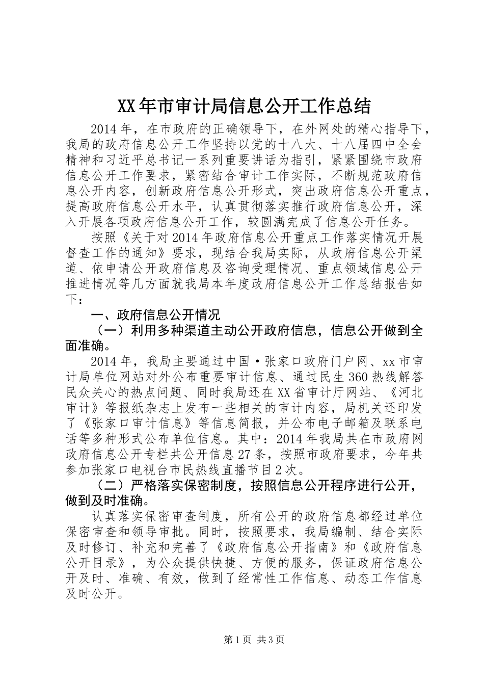 XX年市审计局信息公开工作总结_第1页