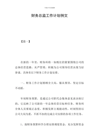财务总监工作计划例文