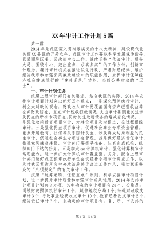 XX年审计工作计划5篇