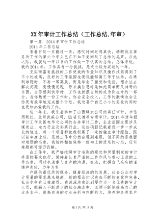 XX年审计工作总结(工作总结,年审)