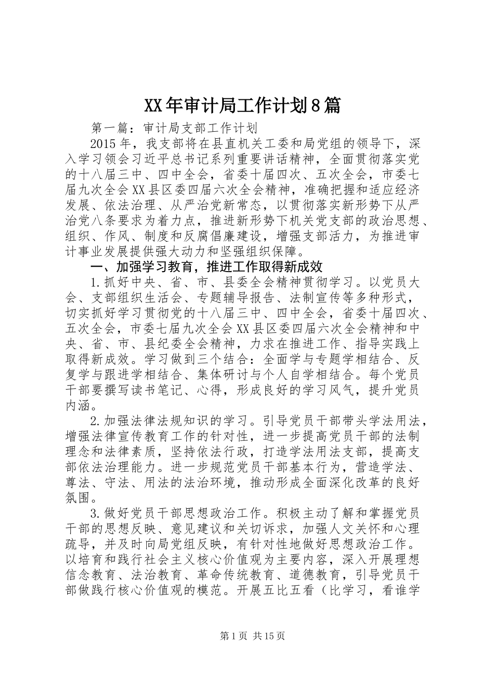 XX年审计局工作计划8篇_第1页