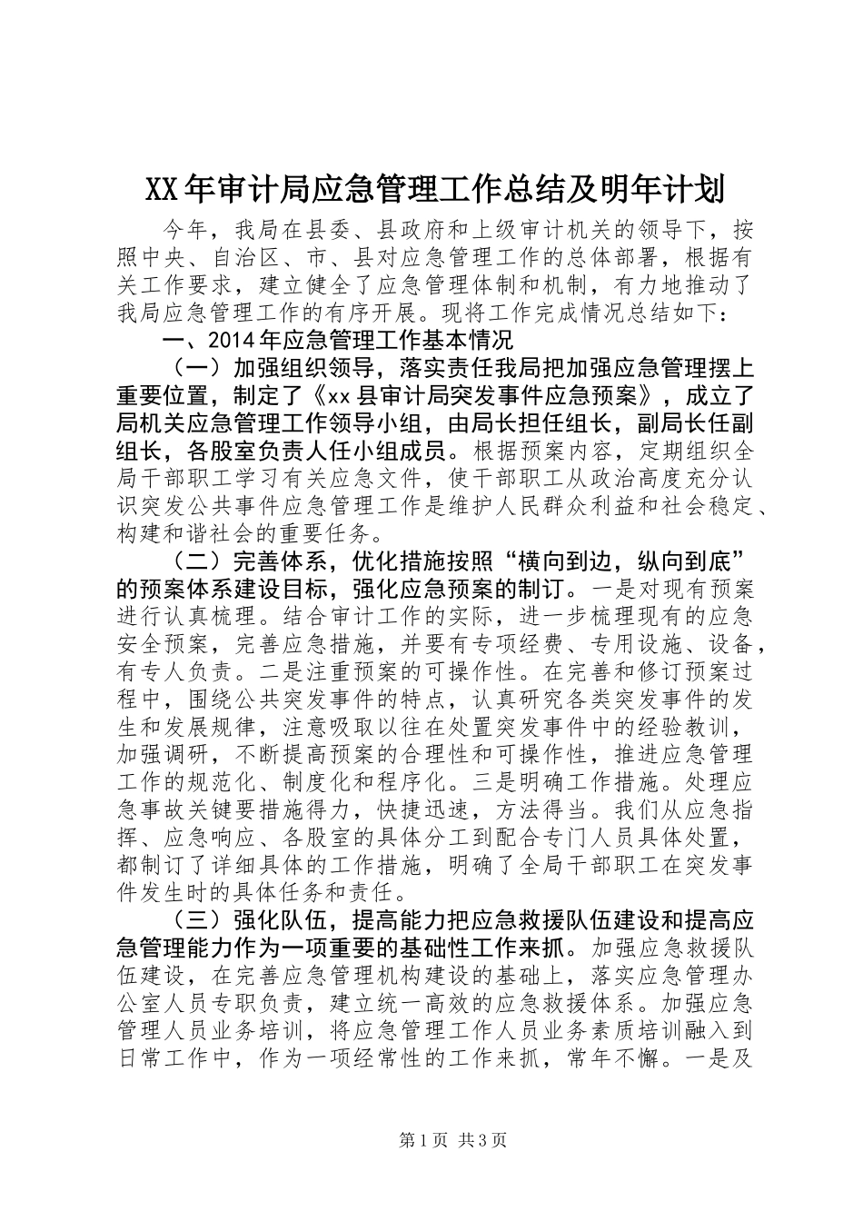 XX年审计局应急管理工作总结及明年计划_第1页