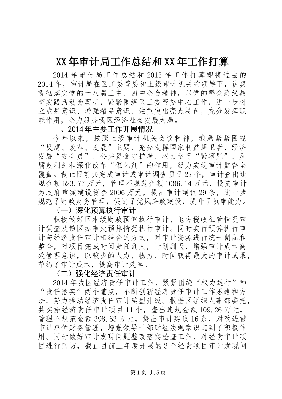XX年审计局工作总结和XX年工作打算_第1页