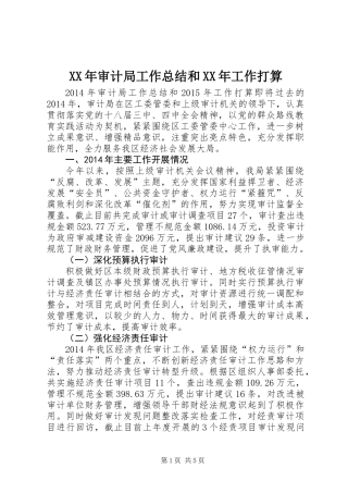 XX年审计局工作总结和XX年工作打算