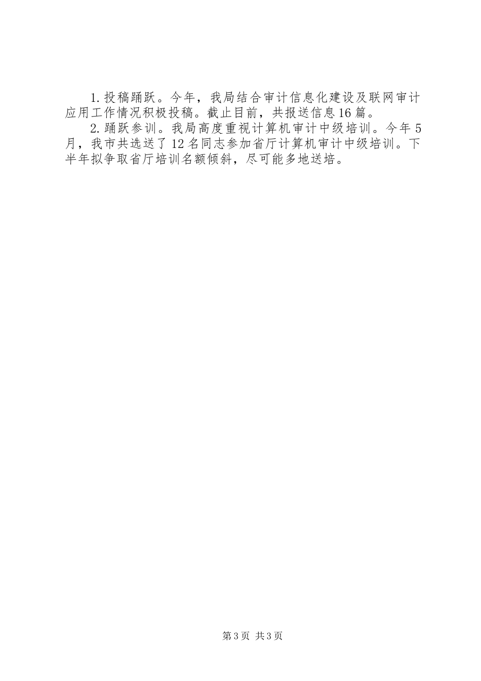 XX年审计信息化建设工作报告_第3页