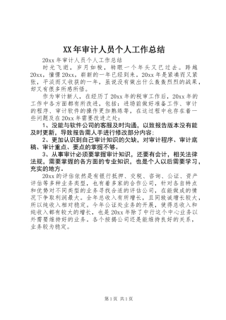 XX年审计人员个人工作总结