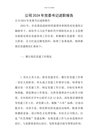 公司2024年党委书记述职报告