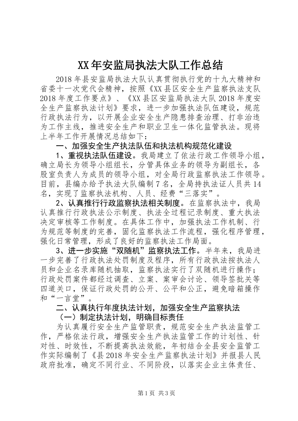 XX年安监局执法大队工作总结_第1页