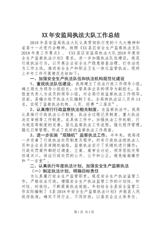 XX年安监局执法大队工作总结