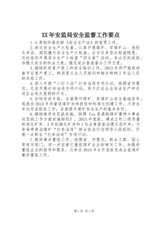 XX年安监局安全监督工作要点