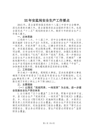 XX年安监局安全生产工作要点
