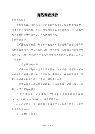 自然调查报告