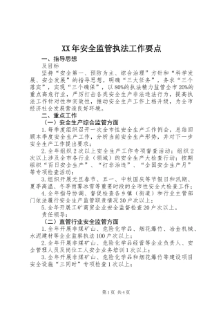 XX年安全监管执法工作要点