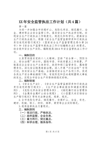 XX年安全监管执法工作计划(共4篇)