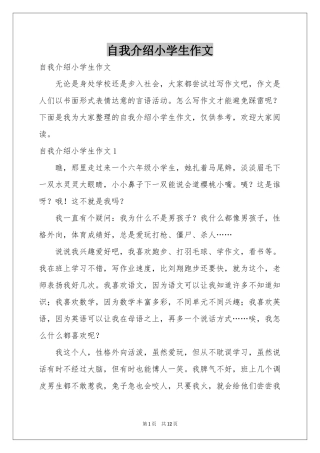 自我介绍小学生作文