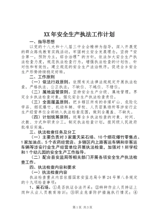 XX年安全生产执法工作计划 (3)